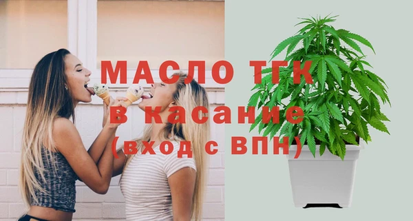 индика Бронницы