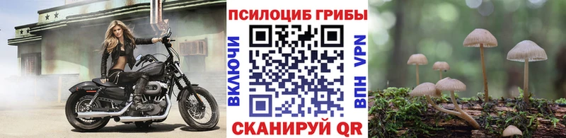 omg ссылка  Бийск  Галлюциногенные грибы Magic Shrooms 
