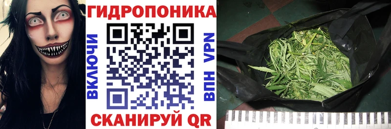 Бошки марихуана ГИДРОПОН  где продают наркотики  Бийск 